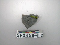 藏品(帶穿器殘片)的圖片